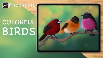 Animals Illustration | Colorful Birds - Procreate Drawing Timelapse