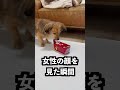 女性が足でお金を奪う貯金箱にクールバブバブを出せばあらわになるはず!