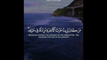 تلاوة مميزة للقارئ الشيخ " سعد ازويت " // WhatsApp Islamic cases ❤️🌿🥀