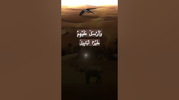 Surah Al-Fil by Muhammad Siddiq Al-Minshawi. سورة الفيل محمد صديق المنشاوي