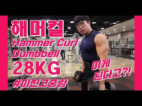 미친고중량주의! 덤벨컬&해머컬 28Kg?! 이게 된다고? [지피티 Tv] - Youtube