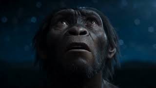 Evolution Der Film // Erstellt mit eigenem KI Agenten Evolution Der Film // Erstellt mit eigenem KI Agenten