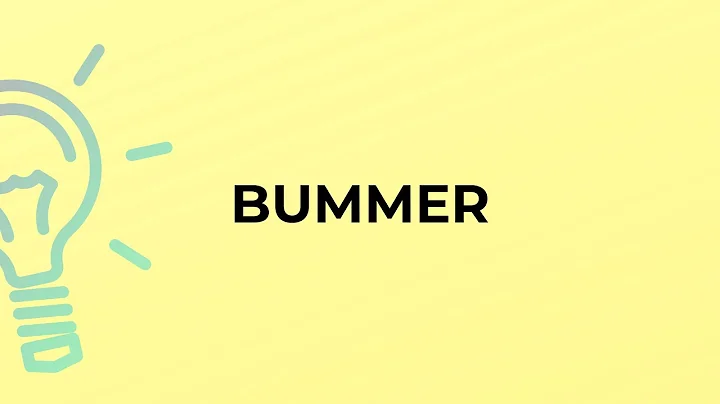 What is the meaning of the word BUMMER? - DayDayNews