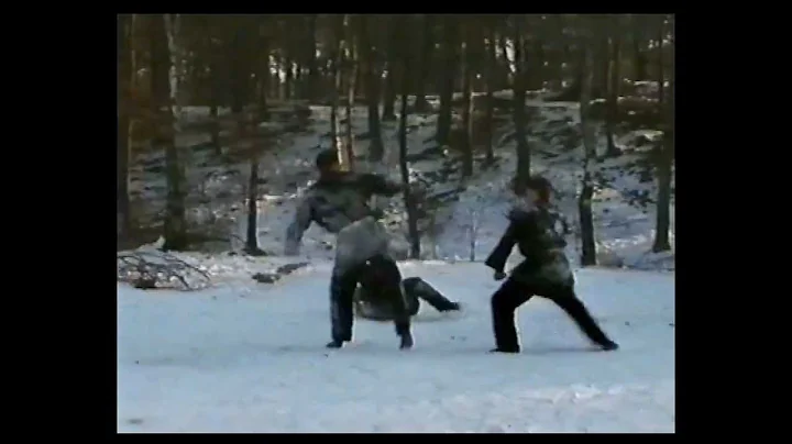 part 1: Koga Ryu Ninjitsu demonstration by Sensei Richard Van Polen ( Hilversum Vechtsport )