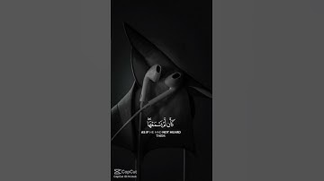 سورة الجاثية{ لا تحزن ان الله معنا} #freepalestine #سورة الجاثية #قران #مع القرآن الكريم  #capcat