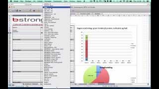 Brugervejledning Af Bestrong Kostprogram