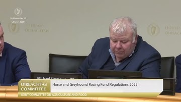 Deputy Michael Fitzmaurice- speech from 19 Nov 2025