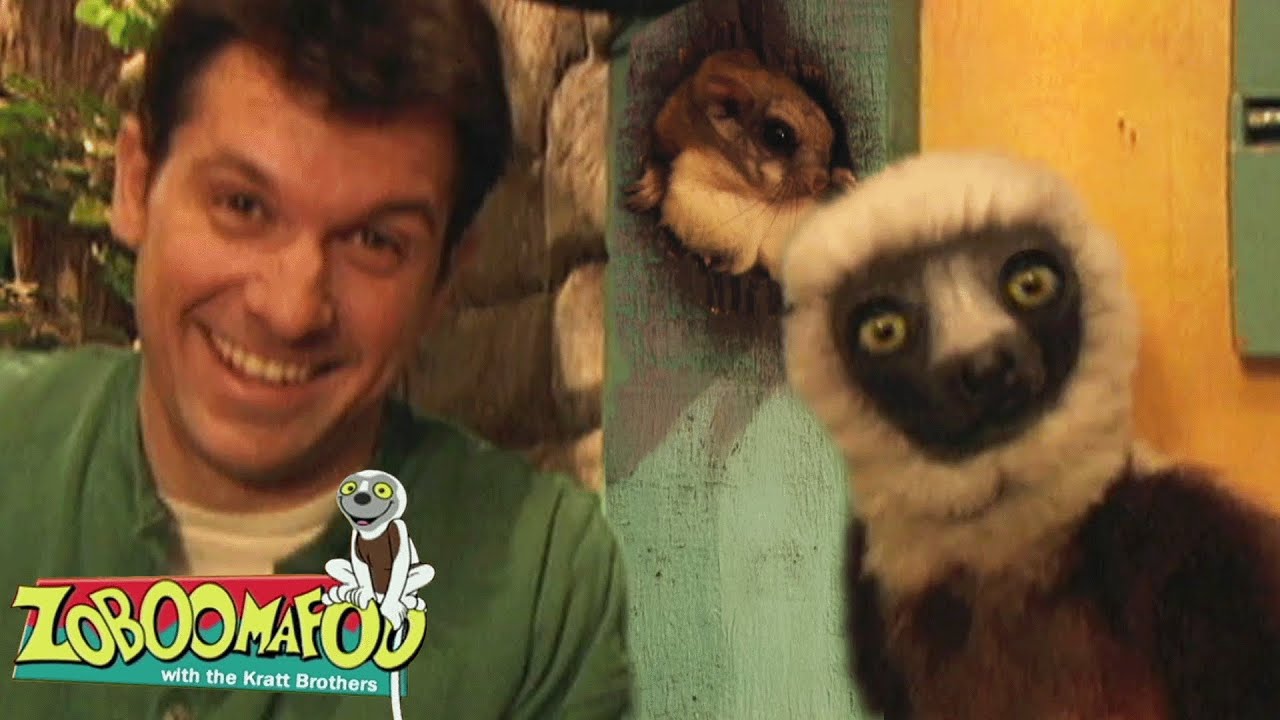 Who's in the hole? | Zoboomafoo - WildBrain | Movies for Kids