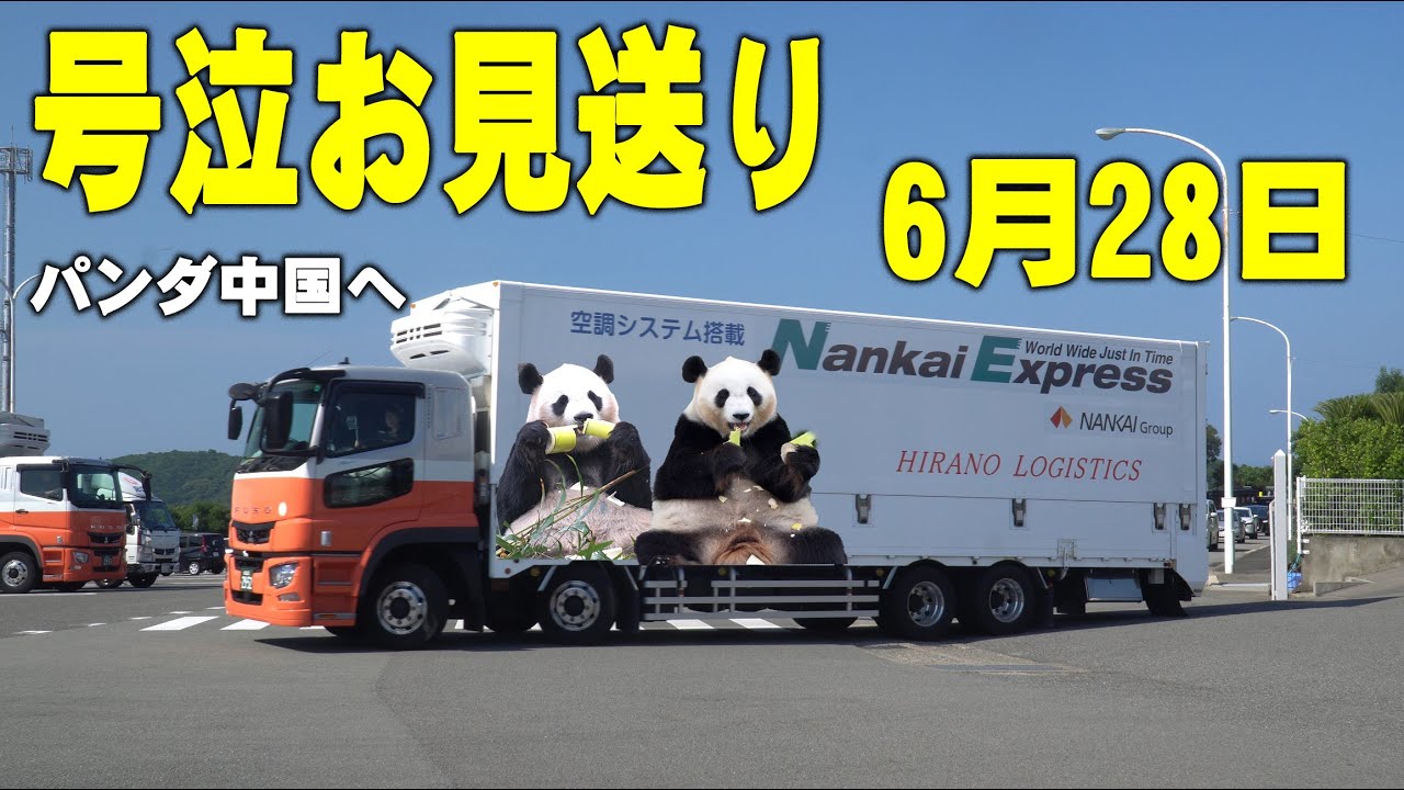 【楓浜暴れて遅れる！涙の見送り】アドベンチャーワールドのパンダ達の新たな旅立ちを二箇所で見送り