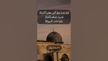 سورة الأنفال الآية ٤٩ الى ٥١ بصوت الشيخ محمد صديق المنشاوي