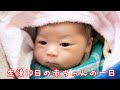 【新生児】生後10日の赤ちゃんの一日 24時間密着 女の子ベビー One day for a baby 10 days after birth.