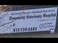 Parvovirus vaccine clinic held in Springfield veterinary hospital