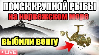 ОХОТА ЗА МОНСТРАМИ • НОРВЕЖСКОЕ МОРЕ • РР4 СТРИМ