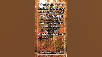 Embrace Change: Life Lessons from Autumn