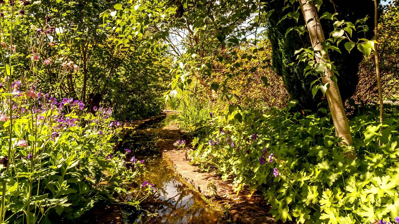 Great Gardens of England  The Courts Holt Wiltshire
