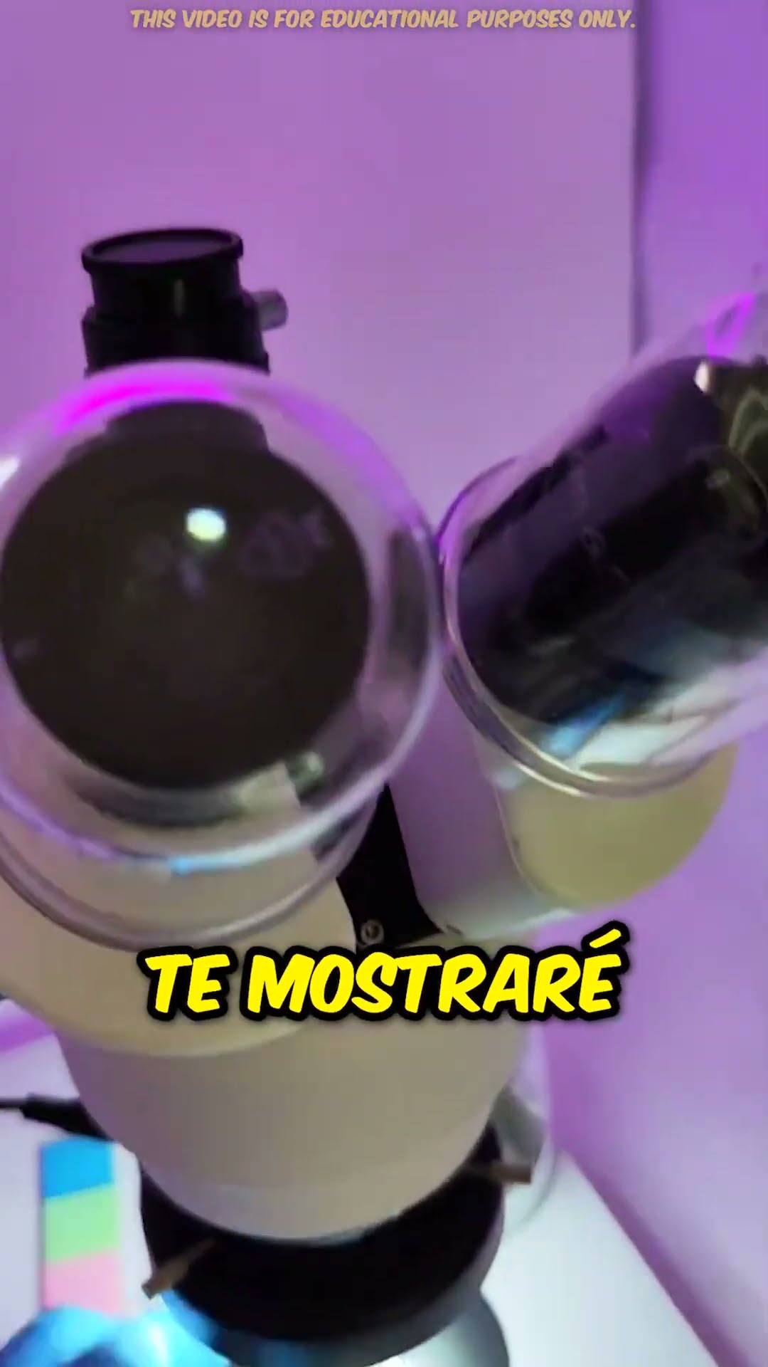 ¡Cómo se ve una mosca bajo el microscopio! ??