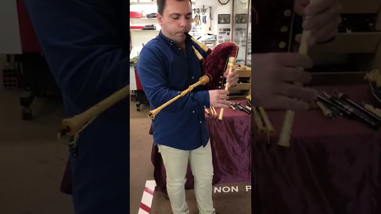 GAITA DE CANA EVO EN DO. ALBERTO COYA I