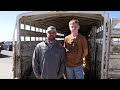 Montana AG: Students learn importance of agriculture in Big Sky County