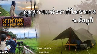 กางเต็นท์ ผาพ่อเมือง อุทยานแห่งชาติไทรทอง-อุทยานแห่งชาติป่าหินงาม ​| อาสาพาไปเลาะ : asapapailor