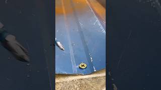 How to Tighten Screws on a Metal Tin Roof 🎉 Easy DIY Roofing Tip 👍 #craft #handmade #skills How to Tighten Screws on a Metal Tin Roof 🎉 Easy DIY Roofing Tip 👍 #craft #handmade #skills