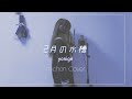 2月の水槽 - yonige 【michon.Cover】