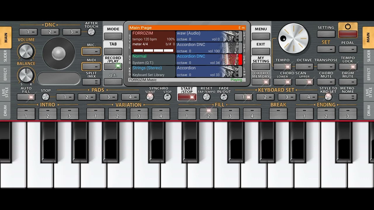 RITMO FORROZIN NO ORG-2022