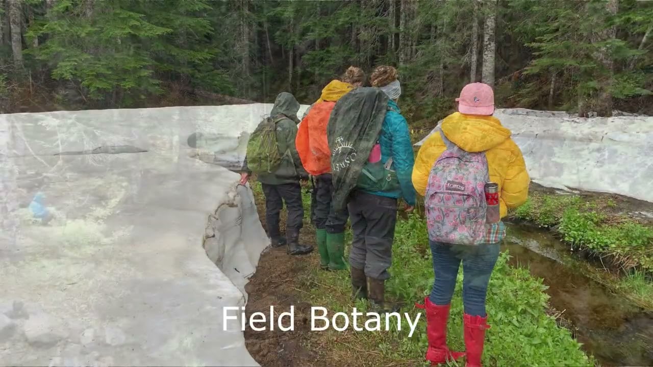 A Botanical Adventure