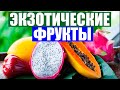 Экзотические фрукты. Папайя, манго, питахайя и кокос. Арбуз 500 рублей за кг. в ОКЕЙ. RinaStars.