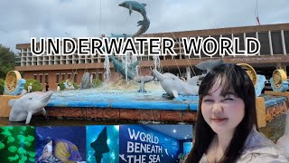 Underwater World 🌍โลกใต้น้ำ บางแสน ชลบุรี #sunshine_story789 #underwater #underwaterworld #nature