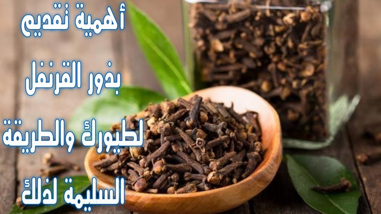 فوائد القرنفل للطيور وطرق تقديمه لها(2021)