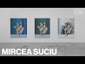 Artist Spotlight: Mircea Suciu – A Complete and Chronological Overview