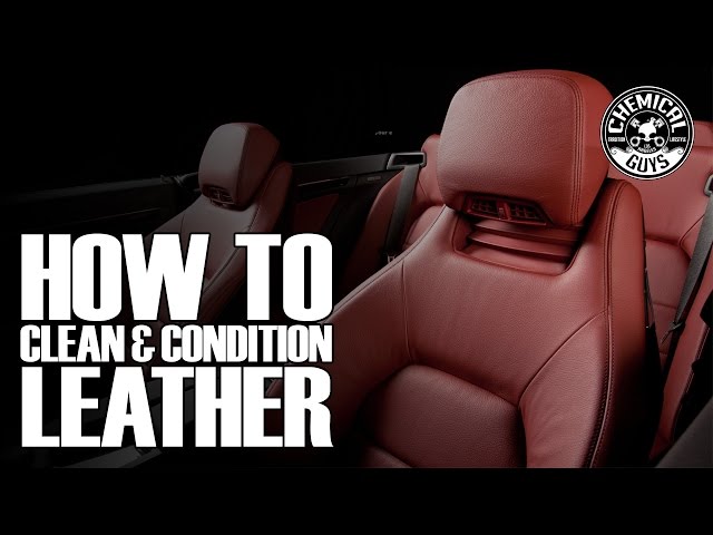 How to Clean and Protect Leather Car Seats
