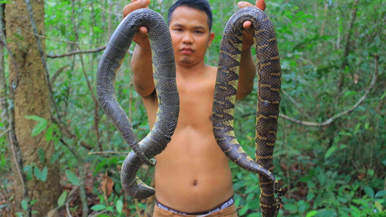 survival time small cell carcinoma bladder Wow! Cooking Yummy Snake Soup with Bamboo Shoot
