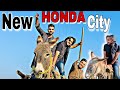 Honda city la li new