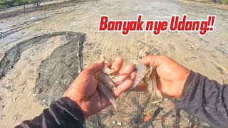 LOTS OF FISH/SHRIMBS CATCHED⁉️DRAWING NETS ALONG THE COAST..