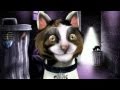 Logitech HD Pro C910 Test Video - Cat Avatar