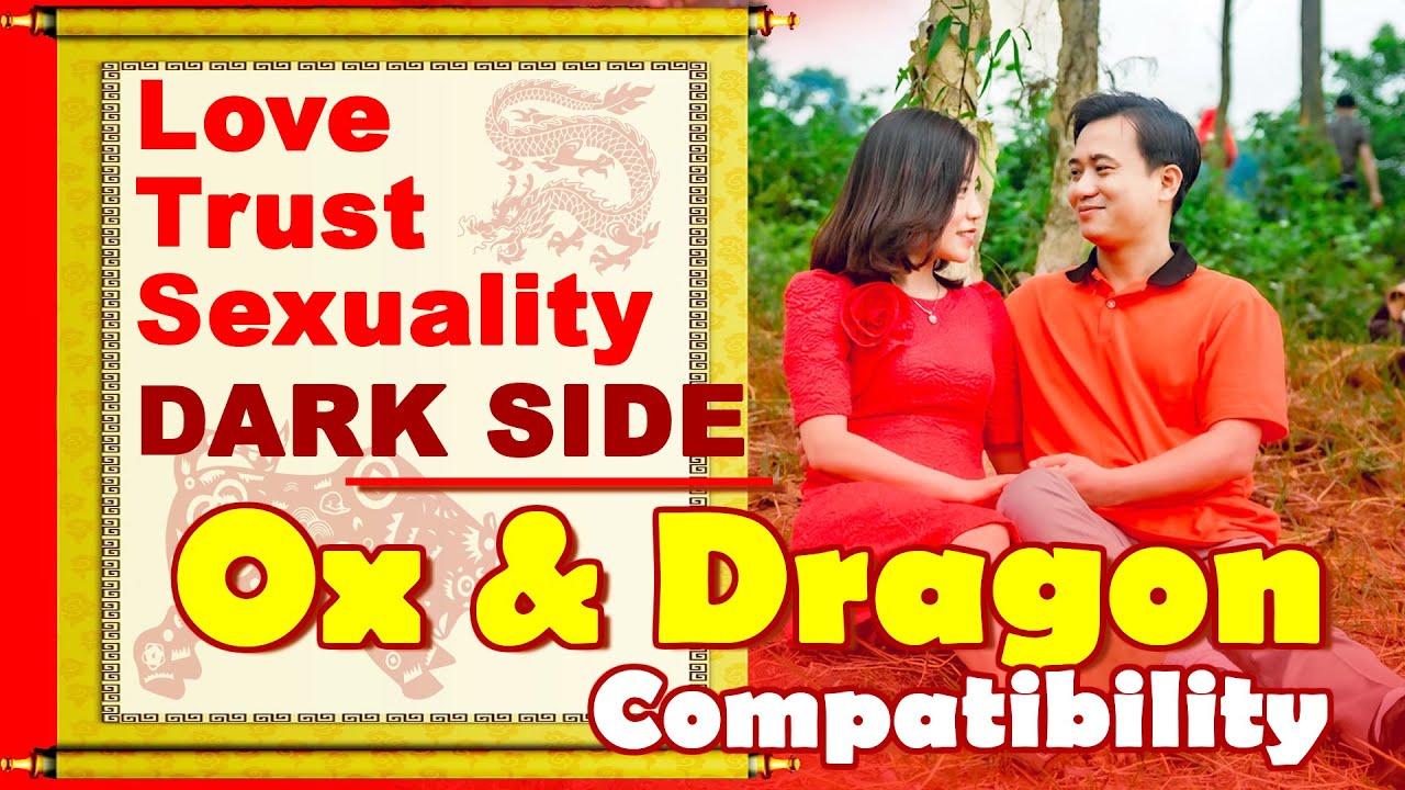Ox And Dragon Compatibility In Love Life Trust And Intimacy Ox And ox-and-dragon-compatibility-in-love-life-trust-and-intimacy-ox-and