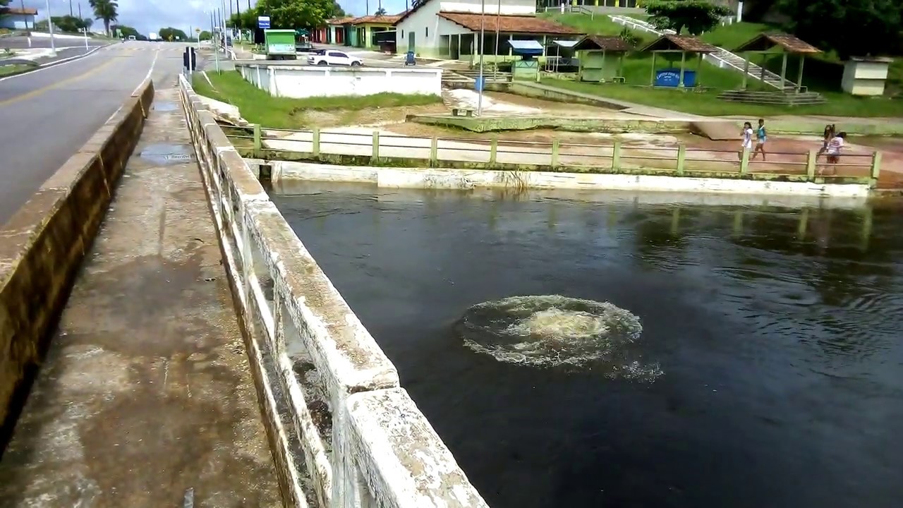 Peixe-Boi Pará fonte: i.ytimg.com Fonte: i.ytimg.com