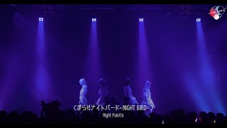 Live映像きらりナイトバード - Night Bird- Night Palette