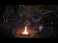 Uma noite na floresta com meus amigos