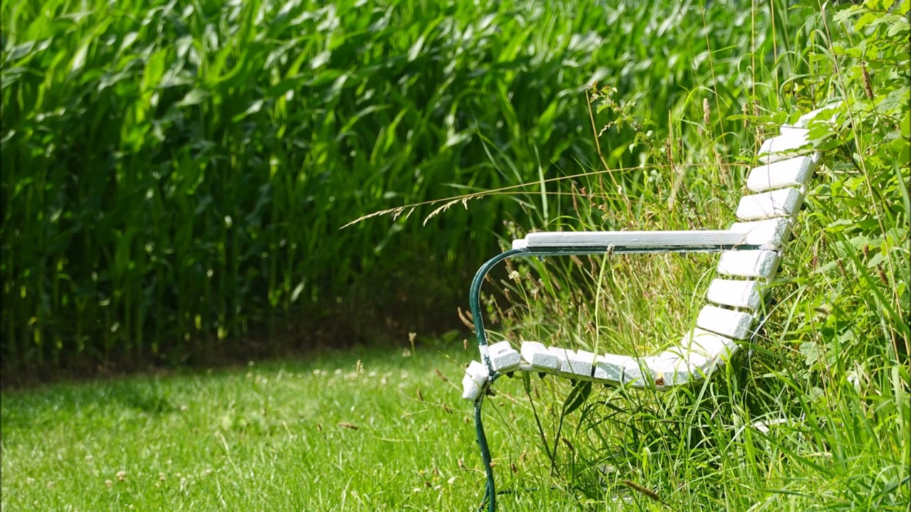 Stufe 5 - Gehversuch