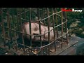 She Made a Deal With Darkness… And Paid the Price | Devil’s Bath Recap