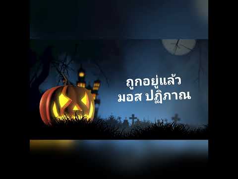 ถูกอยู่แล้ว - มอส ปฏิภาณ