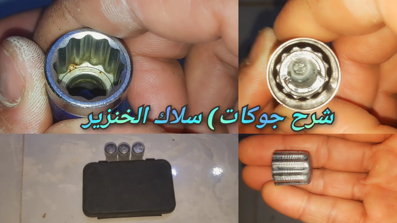شرح جوكات) سلاك الخنزير البري  لايك مثلكم حلو 🎋