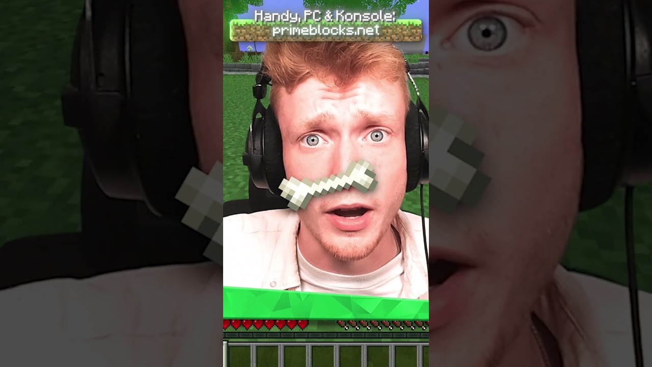 Diesen LIFEHACK für Minecraft KANNTE Ich als PRO SPIELER noch nicht…