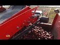 Сельскохозяйственные предприятия Упоровского района преодолели экватор в уборке картофеля
