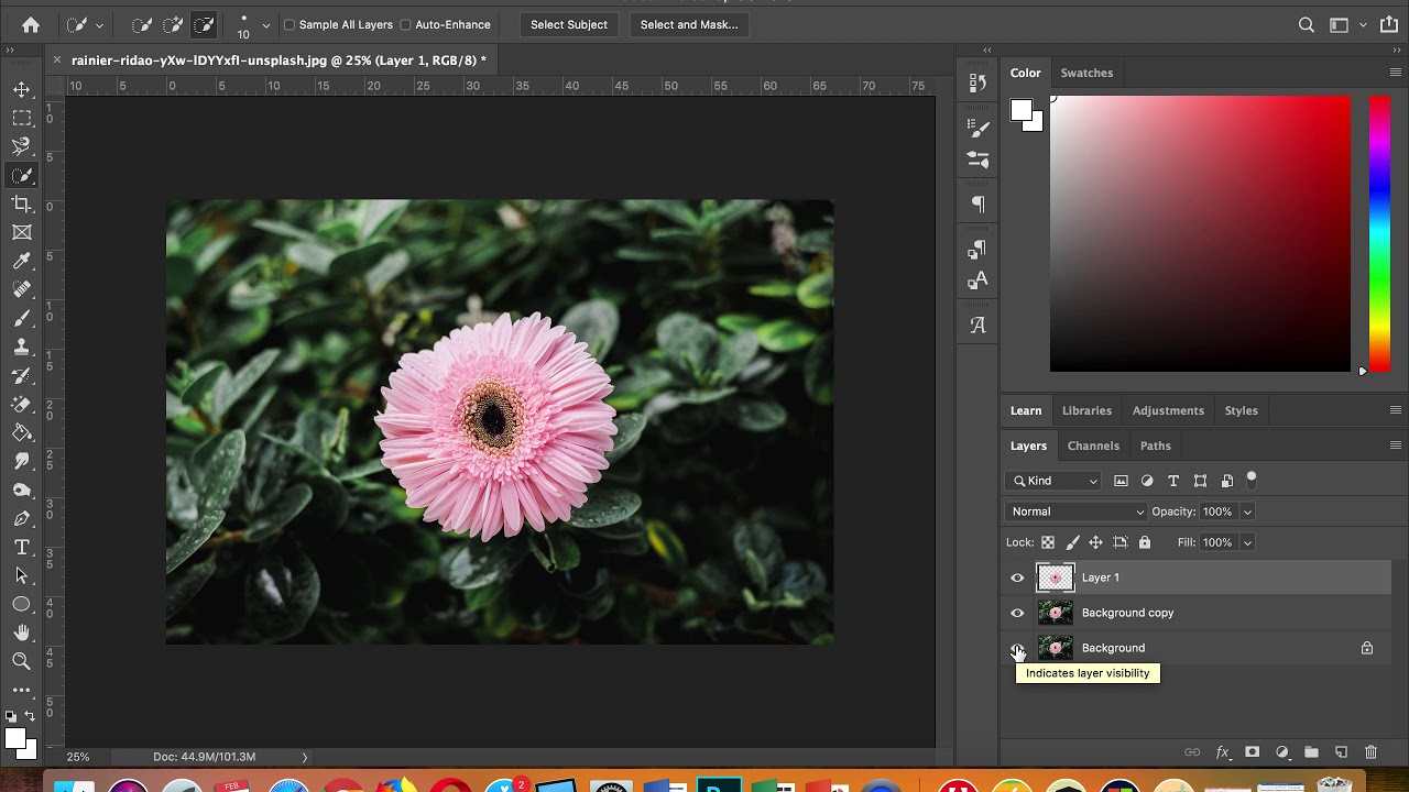 How to turn a colour photo into a black and white photo while leaving