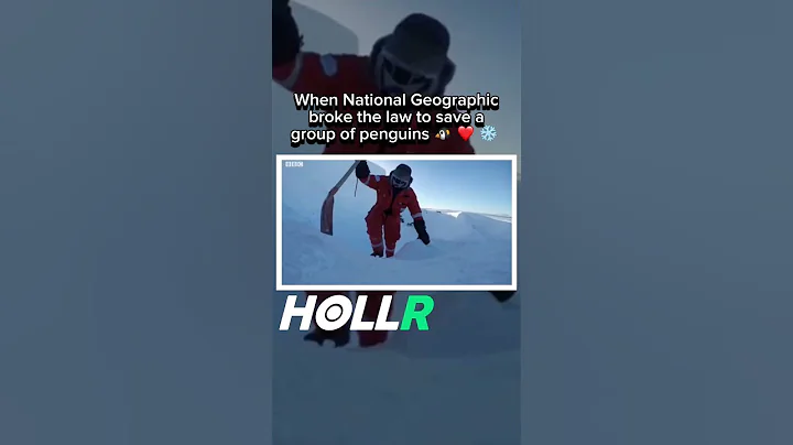 When National Geographic broke the law to save a group of penguins 🐧❤️❄️ | #shorts