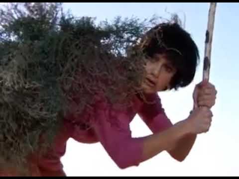 فلم مضحك سرقة بيض النعامة من البشر والقرود إذا أعجبك الفيديو اضغط على زر الإعجاب واشترك بالقناة