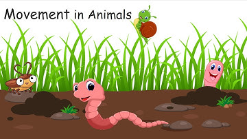 Movement In Animals |  Earthworm | Snail | Cockroach | Snake | Birds | Class 6 | Science